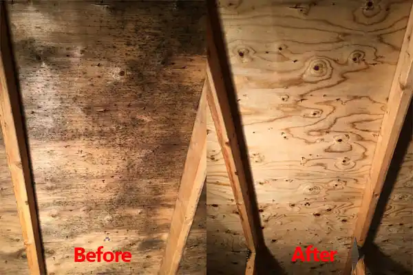 water damage restoration service Woodfin